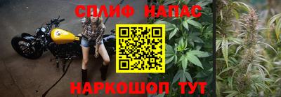 гашик Новозыбков