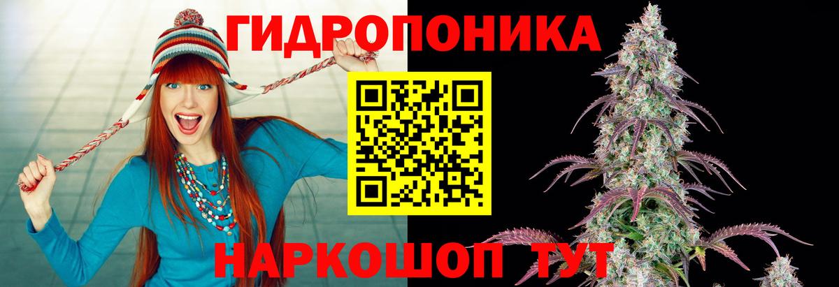 Семёнов  Конопля VHQ  Вход с VPN  Марихуана марихуана 